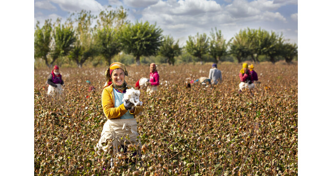 cotton KBA - Natur Pur
Der Bezug aus...