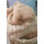 Kamelhaar Sommer Bettdecke - Leicht Steppbett - Garanta Kamelhaar 155x220 cm
